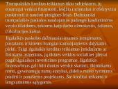 Kreditas, kredito rūšys, nauda ir trūkumai 7 puslapis