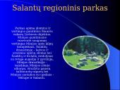 Kretingos rajono bendruomenės rekreacinės veiklos modelis 5 puslapis