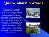 Kretingos rajono bendruomenės rekreacinės veiklos modelis 10 puslapis