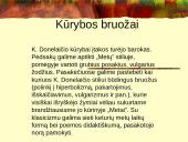 Kristijonas Donelaitis 1714 - 1780 6 puslapis