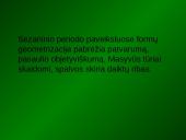 Kubizmas Europoje 5 puslapis