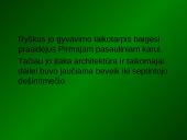 Kubizmas Europoje 8 puslapis