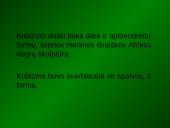 Kubizmas Europoje 9 puslapis