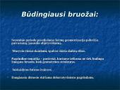 Kubizmo bruožai 2 puslapis