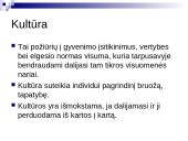 Kultūra, kultūrą sudarantys elementai 2 puslapis