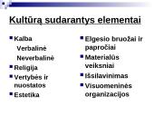 Kultūra, kultūrą sudarantys elementai 4 puslapis