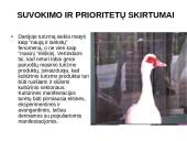 Kultūrinio turizmo tendencijos ir aktualijos Vakarų Europoje 14 puslapis