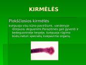 Gyvūnų ir augalų kvėpavimas 12 puslapis