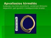 Gyvūnų ir augalų kvėpavimas 13 puslapis