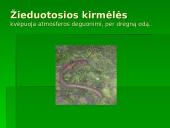 Gyvūnų ir augalų kvėpavimas 14 puslapis