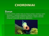 Gyvūnų ir augalų kvėpavimas 15 puslapis