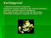 Gyvūnų ir augalų kvėpavimas 16 puslapis