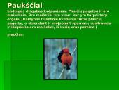 Gyvūnų ir augalų kvėpavimas 18 puslapis