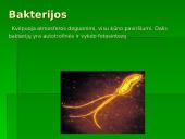 Gyvūnų ir augalų kvėpavimas 3 puslapis