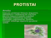 Gyvūnų ir augalų kvėpavimas 4 puslapis