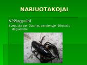 Gyvūnų ir augalų kvėpavimas 8 puslapis