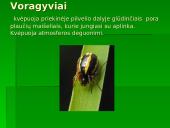 Gyvūnų ir augalų kvėpavimas 9 puslapis