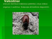 Gyvūnų ir augalų kvėpavimas 10 puslapis