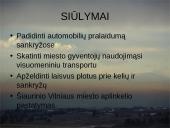 Labiausiai užteršto Vilniaus miesto mikrorajono transporto taršos mažinimo galimybės 13 puslapis