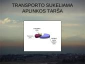 Labiausiai užteršto Vilniaus miesto mikrorajono transporto taršos mažinimo galimybės 4 puslapis