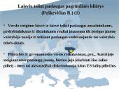 Laisvo paslaugų judėjimo užtikrinimas Europos Sąjungos (ES) vidaus rinkoje 13 puslapis