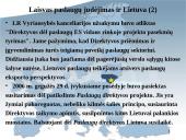 Laisvo paslaugų judėjimo užtikrinimas Europos Sąjungos (ES) vidaus rinkoje 19 puslapis