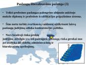Laisvo paslaugų judėjimo užtikrinimas Europos Sąjungos (ES) vidaus rinkoje 10 puslapis