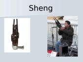 Laosas. Vietnamas. Filipinai 12 puslapis