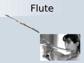 Laosas. Vietnamas. Filipinai 13 puslapis