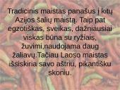 Laosas. Vietnamas. Filipinai 18 puslapis