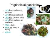 Laosas. Vietnamas. Filipinai 19 puslapis