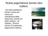 Laosas. Vietnamas. Filipinai 20 puslapis