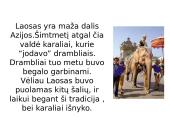 Laosas. Vietnamas. Filipinai 4 puslapis