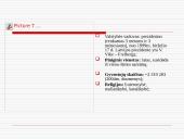 Latvija ir svarbiausi faktai apie Latviją 3 puslapis
