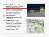 Latvija ir svarbiausi faktai apie Latviją 8 puslapis