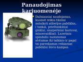 Lazeriai kariniuose taikymuose 7 puslapis