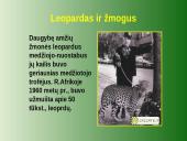 Leopardas 11 puslapis