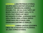 Leopardas 14 puslapis