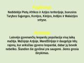 Leopardas 7 puslapis
