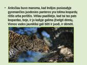 Leopardas 9 puslapis