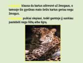 Leopardas 10 puslapis