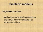 Lyderiavimas atsitiktiniu požiūriu 17 puslapis