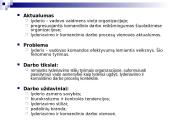 Lyderio įtaka komandinio darbo efektyvumui 2 puslapis