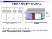 Lyderio įtaka komandinio darbo efektyvumui 13 puslapis