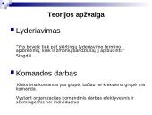 Lyderio įtaka komandinio darbo efektyvumui 4 puslapis