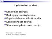 Lyderio įtaka komandinio darbo efektyvumui 5 puslapis