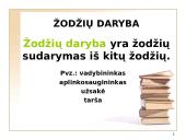 Lietuvių kalbos žodžių darybos klaidos 2 puslapis