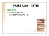 Lietuvių kalbos žodžių darybos klaidos 11 puslapis