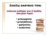 Lietuvių kalbos žodžių darybos klaidos 3 puslapis