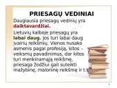 Lietuvių kalbos žodžių darybos klaidos 5 puslapis